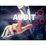 Software Audit - ISIT Expertises