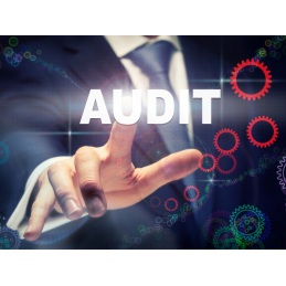 Software Audit - ISIT Expertises