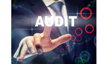 Software Audit - ISIT Expertises
